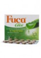 FUCA ALOE 